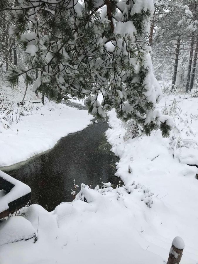Dmk Villa Divčibare Kültér fotó